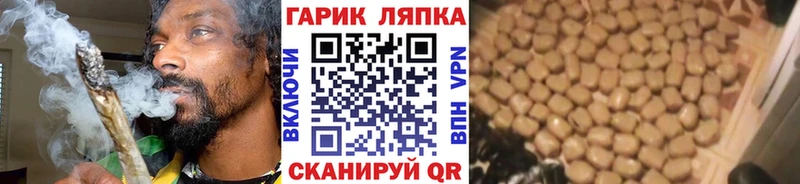 ГАШ VHQ  Людиново 