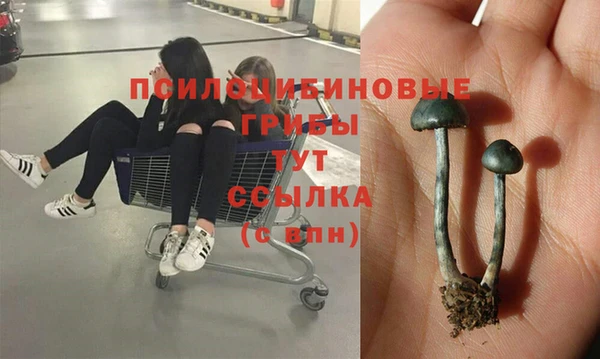 бошки Абдулино