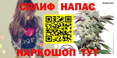 прущие крисы Заводоуковск