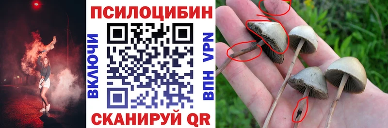 Галлюциногенные грибы мухоморы  Людиново 