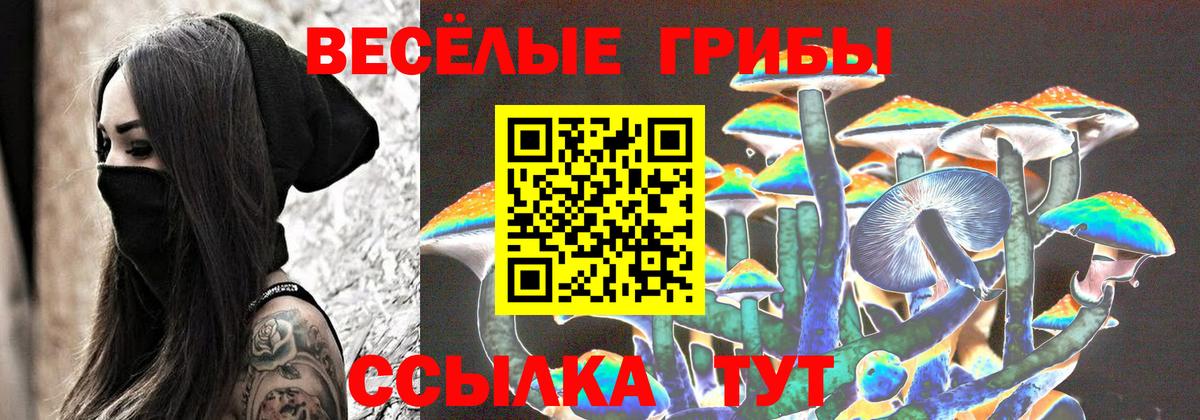 Галлюциногенные грибы прущие грибы  Вход с VPN  Людиново 