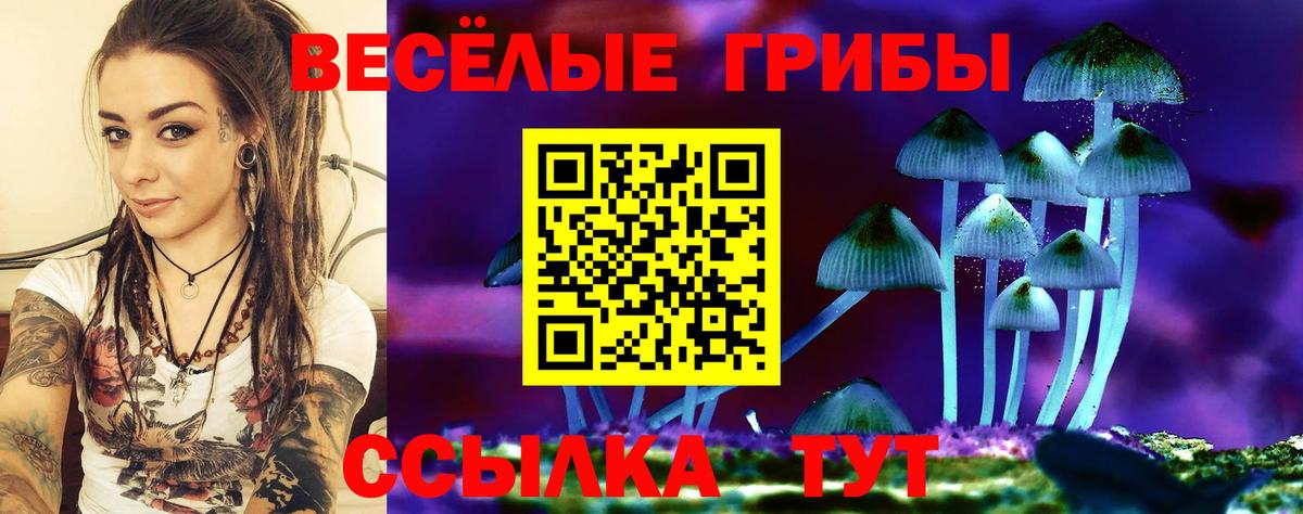 Псилоцибиновые грибы Psilocybe Людиново